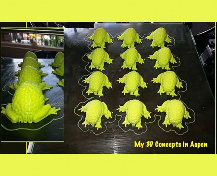 Aspen Brain Lab 3D printed brain frogs