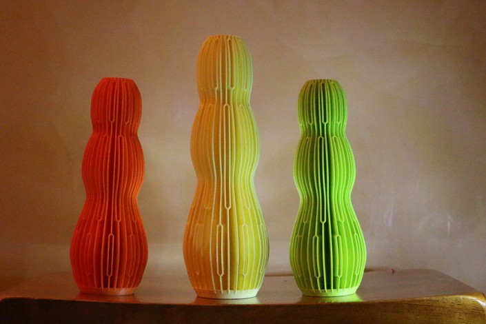 3D Printed Artistic Vases - Cactus